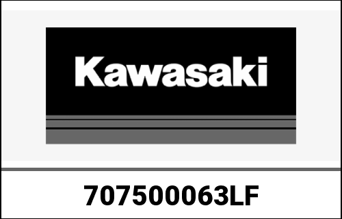 KAWASAKI / カワサキ Genuine ENGINE-ASSY-750 ZR750M9F | 707500063LF