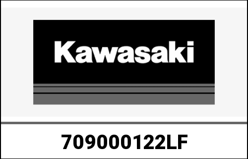 KAWASAKI / カワサキ Genuine ENGINE-ASSY-900 ZR900BJF | 709000122LF