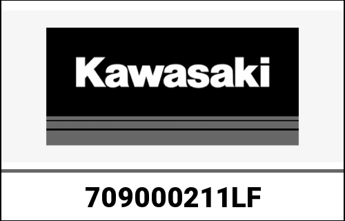 KAWASAKI / カワサキ Genuine ENGINE-ASSY-900 ZR900DKF | 709000211LF