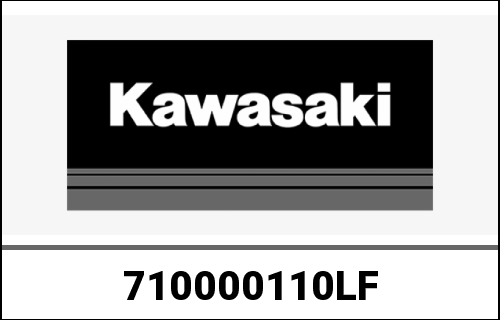 KAWASAKI / カワサキ Genuine ENGINE-ASSY-1000,ZX1000F ZX100 | 710000110LF