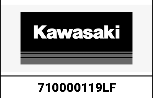 KAWASAKI / カワサキ Genuine ENGINE-ASSY-1000 ZX1000GBF | 710000119LF