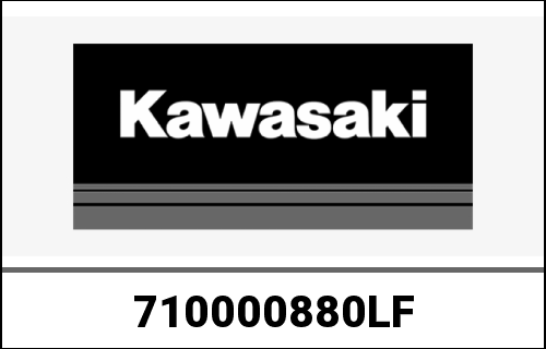 KAWASAKI / カワサキ Genuine ENGINE-ASSY-1000 ZR1000GGF | 710000880LF