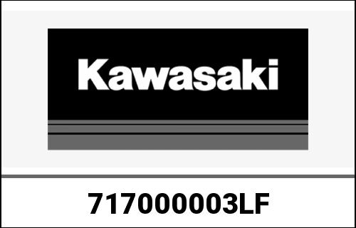 KAWASAKI / カワサキ Genuine ENGINE-ASSY-1700 VN1700C9FA | 717000003LF