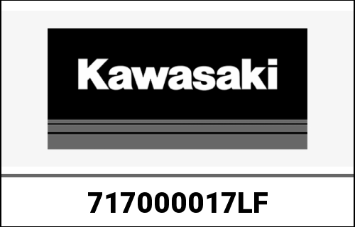 KAWASAKI / カワサキ Genuine ENGINE-ASSY-1700 VN1700A9F | 717000017LF