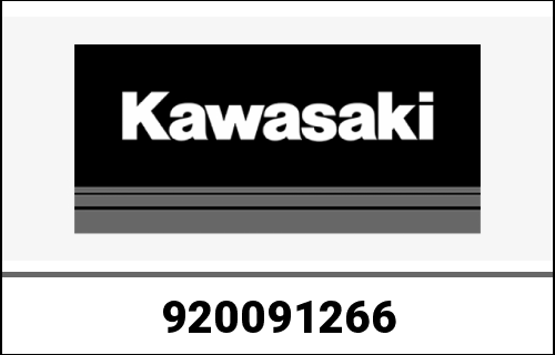 KAWASAKI / カワサキ Genuine SCREW KH100-G6 | 920091266