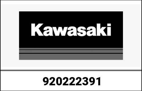KAWASAKI / カワサキ Genuine WASHER TF024H-AF0 | 920222391
