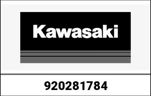 KAWASAKI / カワサキ Genuine BUSHING ZR1100-B1 | 920281784