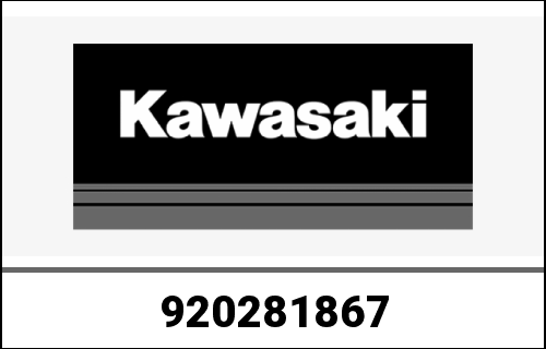 KAWASAKI / カワサキ Genuine BUSHING,CRANK,Dieses1,Dieses3,Dieses ZX900-C1 | 920281867
