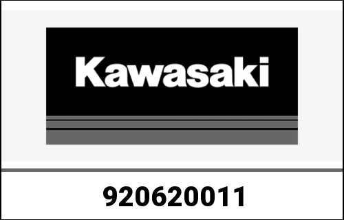 KAWASAKI / カワサキ Genuine NOZZLE ZG1400A8F | 920620011