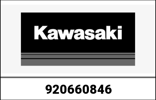 KAWASAKI / カワサキ Genuine PLUG KAF1000AGF | 920660846