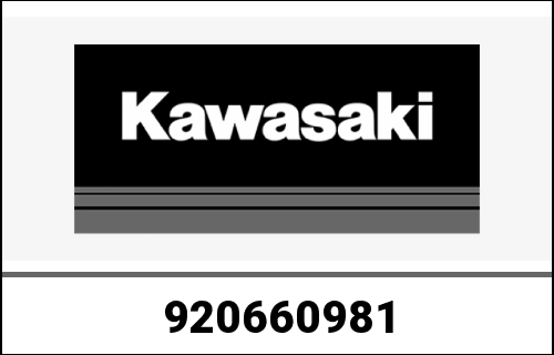 KAWASAKI / カワサキ Genuine PLUG ZR900NNFNN | 920660981