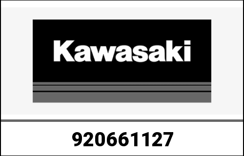 KAWASAKI / カワサキ Genuine PLUG,SIDE COVER ZX1100-A1 | 920661127