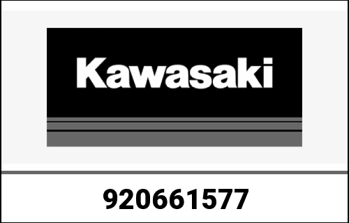 KAWASAKI / カワサキ Genuine PLUG ZX1200-C1 | 920661577