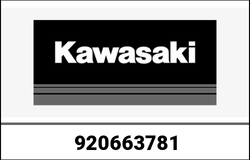 KAWASAKI / カワサキ Genuine PLUG JT1200-B1 | 920663781