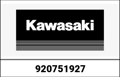 KAWASAKI / カワサキ Genuine DAMPER,10X20X8 KLF300-C1 | 920751927
