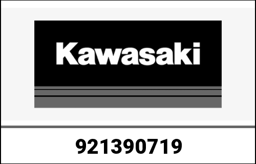 KAWASAKI / カワサキ Genuine BUSHING,PIN,BLUE ZX1000JBF | 921390719
