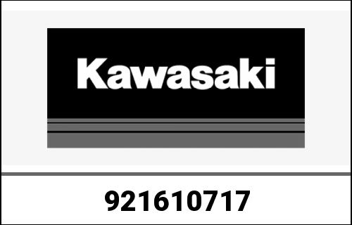 KAWASAKI / カワサキ Genuine DAMPER VN1700B9F | 921610717