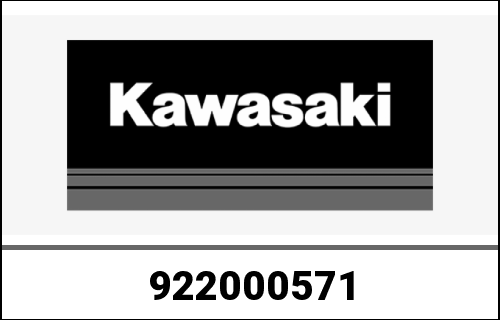 KAWASAKI / カワサキ Genuine WASHER,13.2X20X0.5 AX125AAF | 922000571