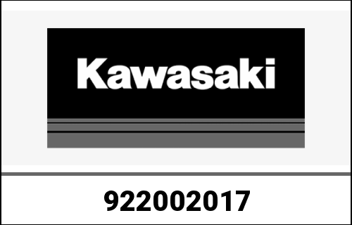 KAWASAKI / カワサキ Genuine WASHER FE290D-AN0 | 922002017