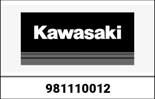 KAWASAKI / カワサキ Genuine CYLINDER-COMP-ENGINE EX250K8F | 981110012