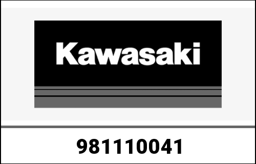 KAWASAKI / カワサキ Genuine CYLINDER-COMP-ENGINE KLX150HFF | 981110041
