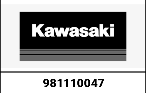 KAWASAKI / カワサキ Genuine CYLINDER-COMP-ENGINE EJ800BKF | 981110047