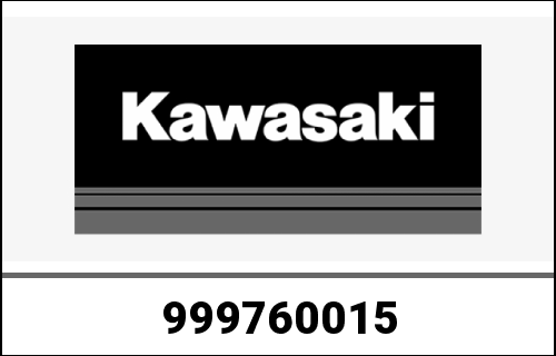 KAWASAKI / カワサキ Genuine OWNERS MANUAL,EN/FR/GE, ZR800 | 999760015