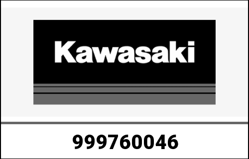 KAWASAKI / カワサキ Genuine OWNERS MANUAL,IT/ES/NL, ZX100 | 999760046