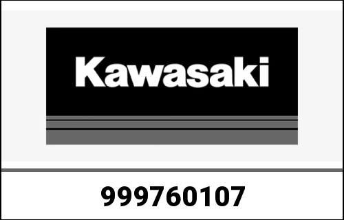 KAWASAKI / カワサキ Genuine OWNERS MANUAL,IT/ES/NL, ZR900 | 999760107