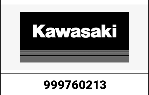 KAWASAKI / カワサキ Genuine OWNERS MANUAL,IT/ES/NL, ZR900 | 999760213