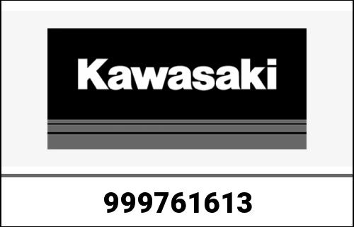 KAWASAKI / カワサキ Genuine OWNERS MANUAL,EN/FR/GE ZR750L | 999761613