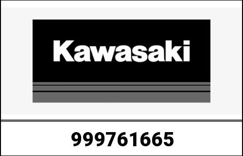 KAWASAKI / カワサキ Genuine OWNERS MANUAL,EN/FR/GE, KLX25 | 999761665
