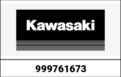 KAWASAKI / カワサキ Genuine OWNERS MANUAL,EN/FR/DE VN900B | 999761673