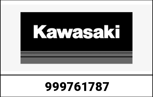 KAWASAKI / カワサキ Genuine OWNERS MANUAL,IT/ES/NL VN1700 | 999761787