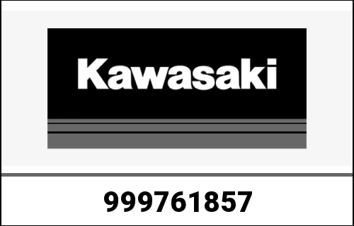KAWASAKI / カワサキ Genuine OWNERS MANUAL,EN/FR/GE, ZX636 | 999761857