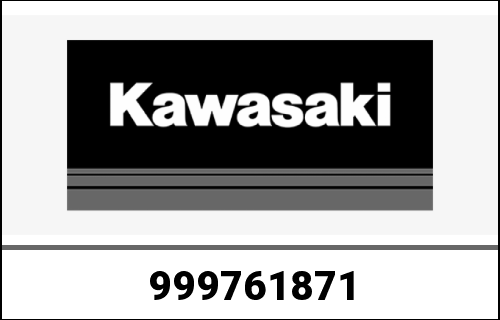KAWASAKI / カワサキ Genuine OWNERS MANUAL,EN/FR/GE, ZR800 | 999761871