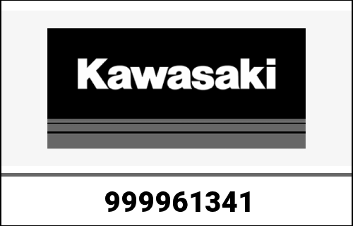 KAWASAKI / カワサキ Genuine KIT,VALVE PARTS ZX1200-A1 | 999961341