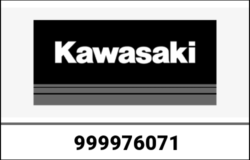 KAWASAKI / カワサキ Genuine KIT-CARBURETOR FH531V-BS0 | 999976071