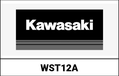 KAWASAKI / カワサキ Genuine BATTERY,FA,YT12A-BS10A VRLA, | WST12A