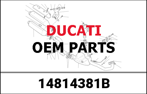 DUCATI純正 HORIZONTAL INTAKE CAMSHAFT | 14814381B