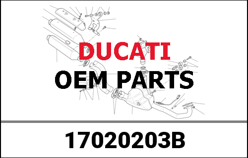 DUCATI純正 PRIM.DRIV.GEARS ST4-900M-SS/03 | 17020203B