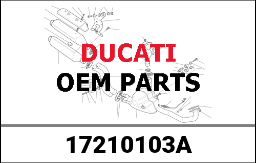DUCATI純正 DRIVEN GEAR 5TH SPEED 23T | 17210103A