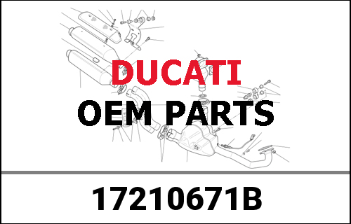 DUCATI純正 DRIVEN GEAR 4TH SPEED | 17210671B