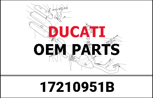 DUCATI純正 DRIVEN GEAR 6TH SPEED | 17210951B