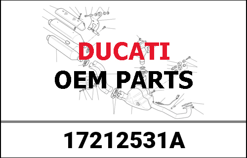 DUCATI純正 DRIVEN GEAR 2ND SPEED | 17212531A