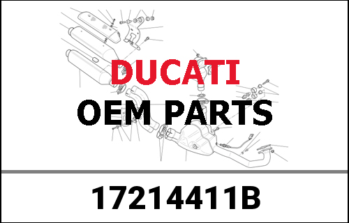 DUCATI純正 RUOTA 1A Z35 SU ALBERO SECONDARIO SBK | 17214411B