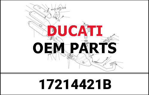 DUCATI純正 RUOTA 2A Z32 SU ALBERO SECONDARIO SBK | 17214421B
