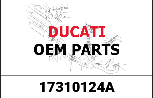 DUCATI純正 ELECTRIC STARTER DRIVEN GEAR | 17310124A