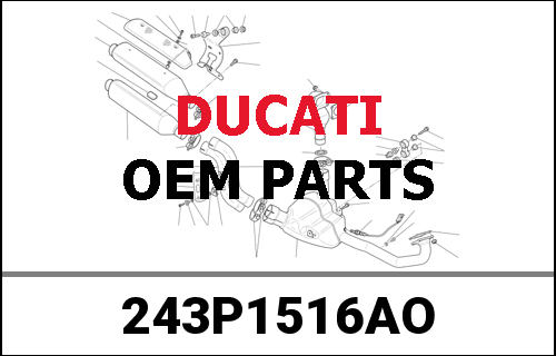 DUCATI純正 COVER CLUTCH SIDE | 243P1516AO