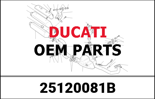 DUCATI純正 GIRANTE UNIFICATA PER POMPA ACQUA | 25120081B